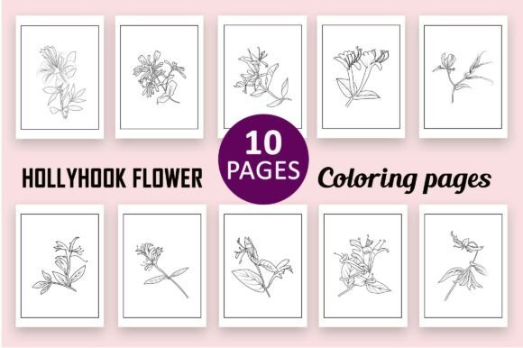 Honeysuckle Flower Coloring Page for Premium Graphics